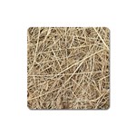 LIGHT COLORED STRAW Square Magnet