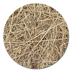 Light Colored Straw Magnet 5  (round) by trendistuff