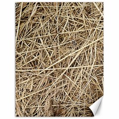 Light Colored Straw Canvas 12  X 16   by trendistuff