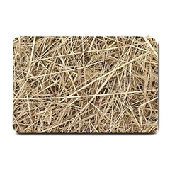 Light Colored Straw Small Doormat  by trendistuff