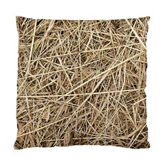 Light Colored Straw Standard Cushion Case (one Side)  by trendistuff