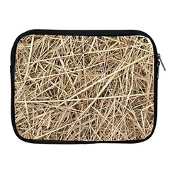 Light Colored Straw Apple Ipad 2/3/4 Zipper Cases by trendistuff