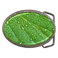 Green Leaf Drops Belt Buckles