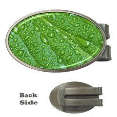 Green Leaf Drops Money Clips (oval)  by trendistuff