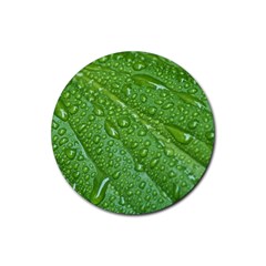 Green Leaf Drops Rubber Coaster (round)  by trendistuff