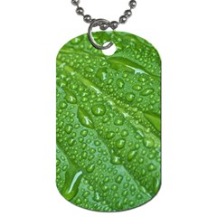 Green Leaf Drops Dog Tag (two Sides)