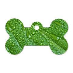 Green Leaf Drops Dog Tag Bone (two Sides)