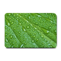 Green Leaf Drops Small Doormat 