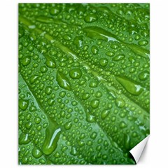 Green Leaf Drops Canvas 11  X 14   by trendistuff