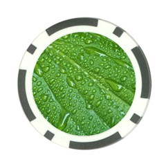 Green Leaf Drops Poker Chip Card Guards by trendistuff