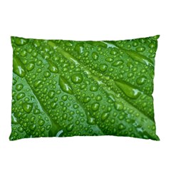 Green Leaf Drops Pillow Cases