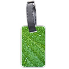 Green Leaf Drops Luggage Tags (one Side)  by trendistuff