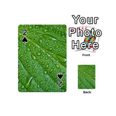 Green Leaf Drops Playing Cards 54 (mini) 