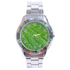 Green Leaf Drops Stainless Steel Men s Watch by trendistuff