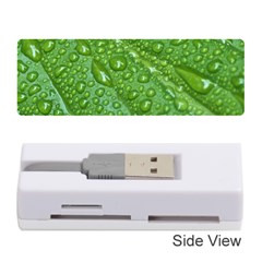 Green Leaf Drops Memory Card Reader (stick) 