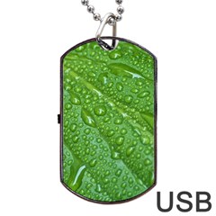 Green Leaf Drops Dog Tag Usb Flash (one Side)