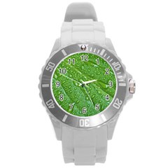 Green Leaf Drops Round Plastic Sport Watch (l)