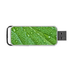 Green Leaf Drops Portable Usb Flash (one Side) by trendistuff