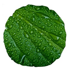 Green Leaf Drops Large 18  Premium Round Cushions