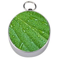 Green Leaf Drops Silver Compasses by trendistuff