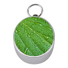 Green Leaf Drops Mini Silver Compasses by trendistuff