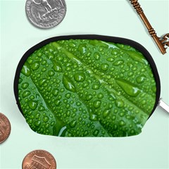 Green Leaf Drops Accessory Pouches (medium) 