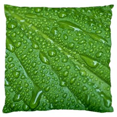 Green Leaf Drops Standard Flano Cushion Cases (one Side)  by trendistuff