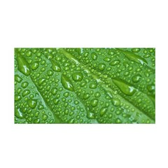 Green Leaf Drops Satin Wrap