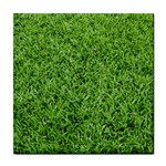 GREEN GRASS 2 Tile Coasters