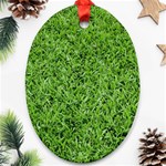 GREEN GRASS 2 Ornament (Oval) 