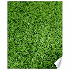 Green Grass 2 Canvas 16  X 20  