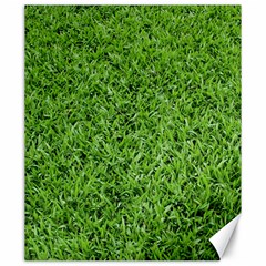 Green Grass 2 Canvas 20  X 24  