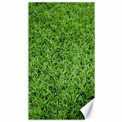 Green Grass 2 Canvas 40  X 72  