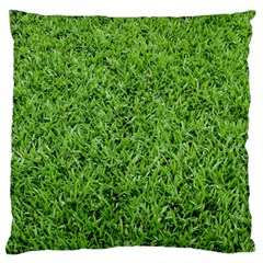 Green Grass 2 Standard Flano Cushion Cases (one Side)  by trendistuff