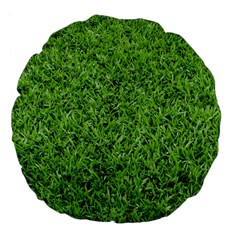 Green Grass 2 Large 18  Premium Flano Round Cushions