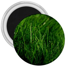 Green Grass 1 3  Magnets