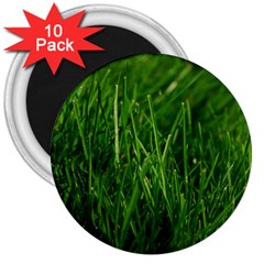 Green Grass 1 3  Magnets (10 Pack) 