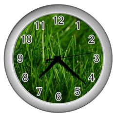 Green Grass 1 Wall Clocks (silver)  by trendistuff