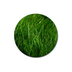 Green Grass 1 Magnet 3  (round)