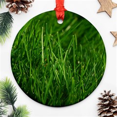 Green Grass 1 Round Ornament (two Sides)  by trendistuff