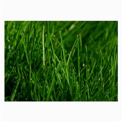 Green Grass 1 Large Glasses Cloth (2-side)