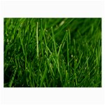 GREEN GRASS 1 Large Glasses Cloth (2-Side) Back