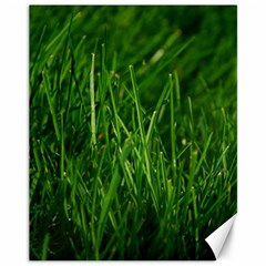 Green Grass 1 Canvas 11  X 14   by trendistuff