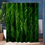 GREEN GRASS 1 Shower Curtain 60  x 72  (Medium)  60 x72  Curtain