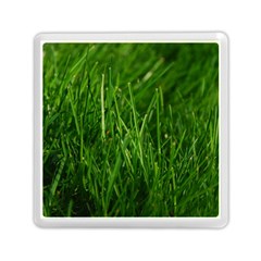 Green Grass 1 Memory Card Reader (square) 