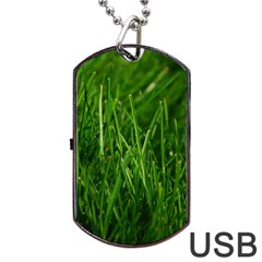 Green Grass 1 Dog Tag Usb Flash (one Side)