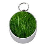 GREEN GRASS 1 Mini Silver Compasses Front