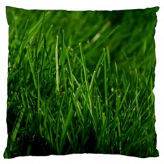 Green Grass 1 Large Flano Cushion Cases (two Sides) 