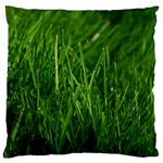 GREEN GRASS 1 Large Flano Cushion Cases (Two Sides)  Front