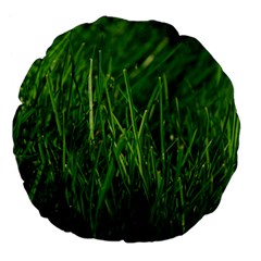 Green Grass 1 Large 18  Premium Flano Round Cushions by trendistuff